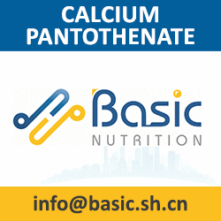 Basic Nutrition Calcium Pantothenate