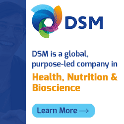 DSM 250