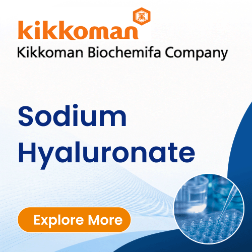 Kikkoman Biochemifa