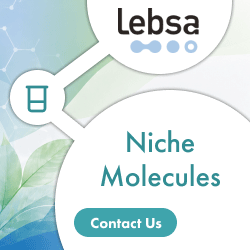 Lebsa RM