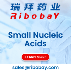 Ribobay VB RM