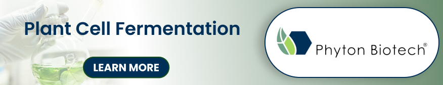 Phyton Company Banner