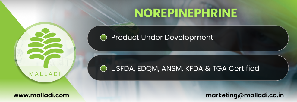 Malladi Norepinephrine