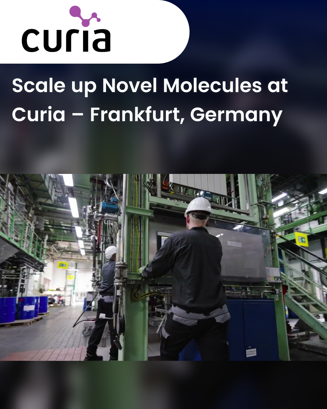 Scale up Novel Molecules at Curia – Frankfurt, Germany