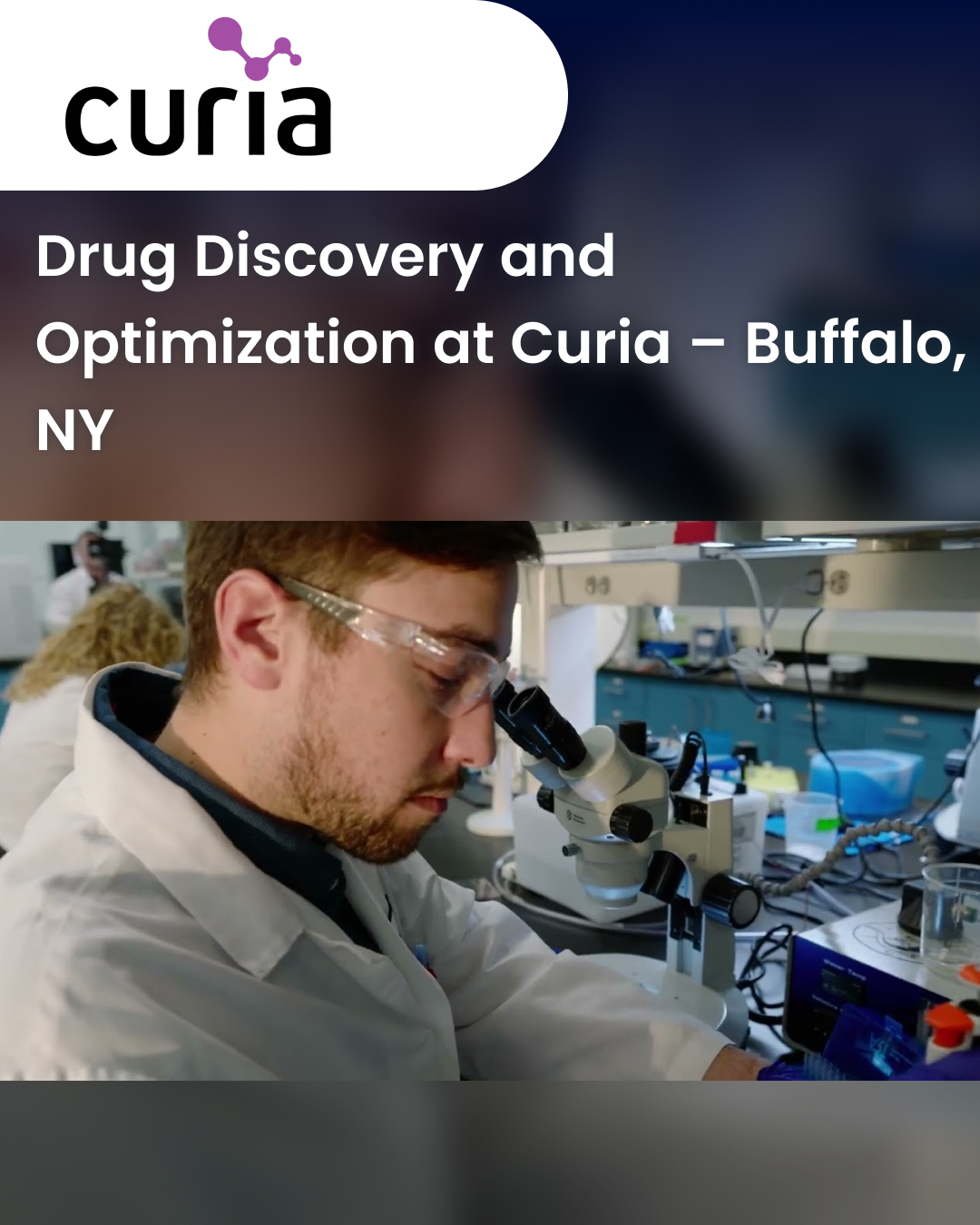 Drug Discovery and Optimization at Curia – Buffalo, NY