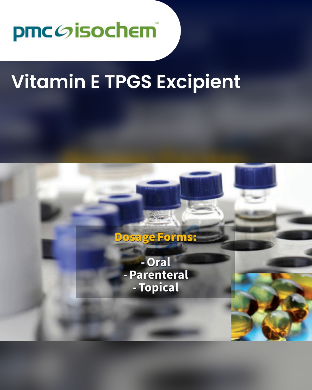 Vitamin E TPGS Excipient
