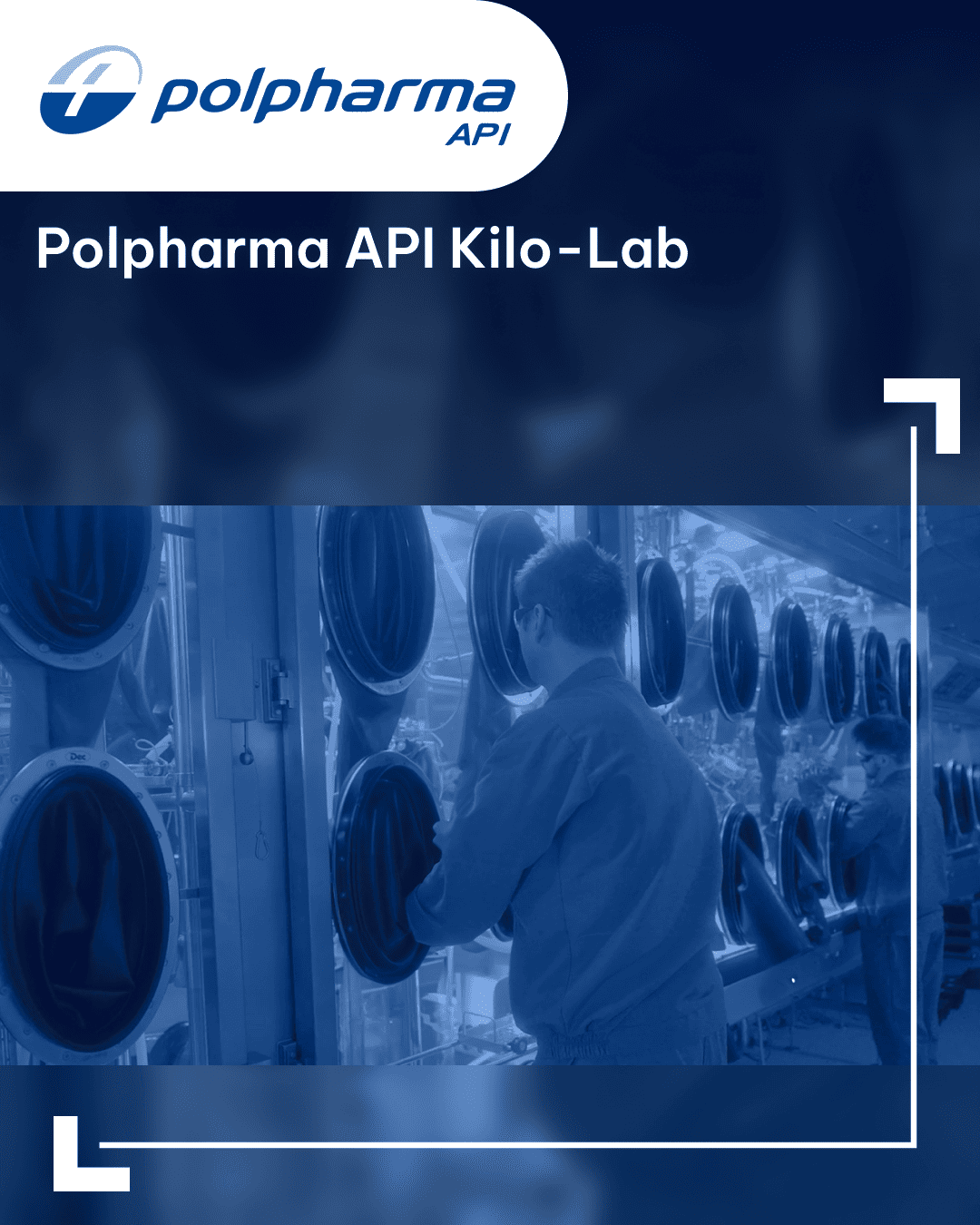 https://www.pharmacompass.com/video-supplier-spotlight/polpharma/polpharma-api-kilo-lab