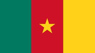 Cameroon Flag