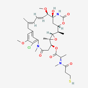 Maytansinoid DM1
