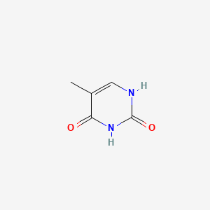 Thymine