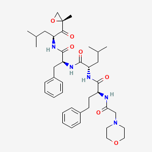 (alphas)-alpha-((4-morpholinylacetyl)amino)benzenebutanoyl-l-leucyl-n-((1s)-3-methyl-1-(((2r)-2-methyloxiranyl)carbonyl)butyl)-l-phenylalaninamide