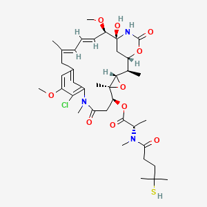 Maytansinoid DM4