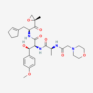 KZR-616