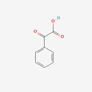 Benzoylformic Acid