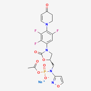 Contezolid Acefosamil