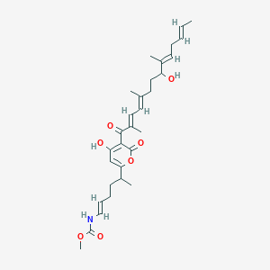 2D Structure