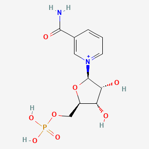 Nicotinamide Mononucleotide