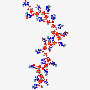 Oligonucleotide