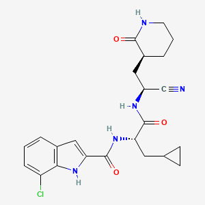 Pomotrelvir