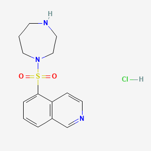 Fasudil