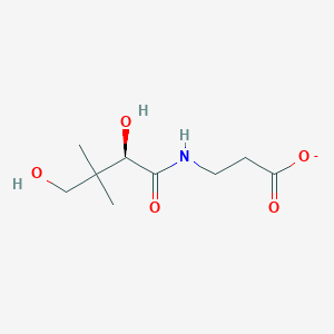 Pantothenate