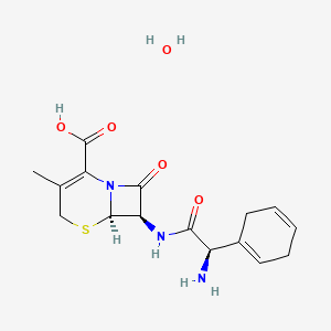 Cephradine Monohydrate