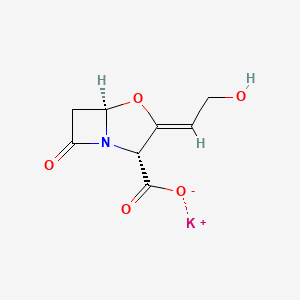 Potassium Clavulanate