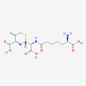 Cephalosporin