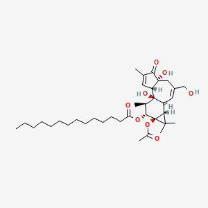 12-O-Tetradecanoylphorbol-13-acetate