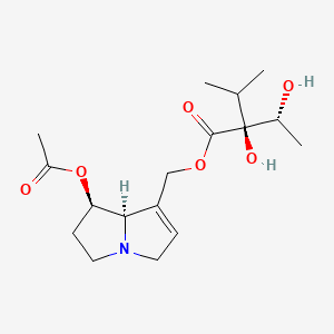 Acetylintermedine