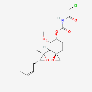 O-Chloroacetylcarbamoyl-Fumagillol