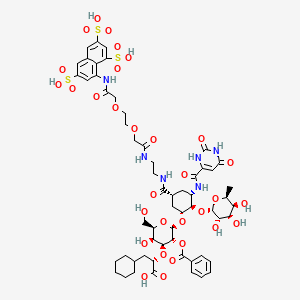 2D Structure