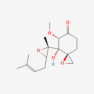 2D Structure