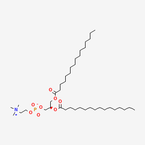 1,2-DIPALMITOYL-SN-GLYCERO-3-PHOSPHO CHOLINE