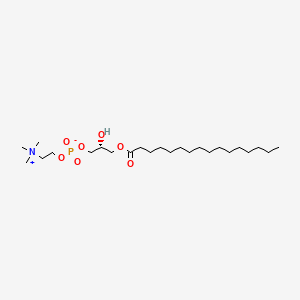 1-Palmitoyl-sn-glycero-3-phosphocholine