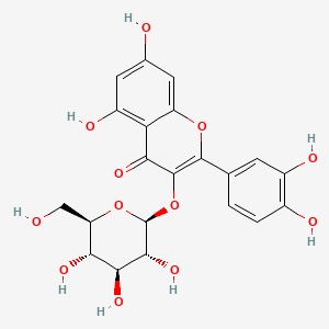 Isoquercitrin