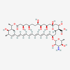 Amphotericin