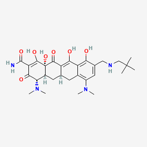Omadacycline Tosylate