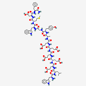 Minigastrin