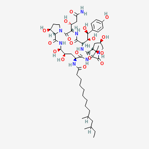 Hydroxy Echinocandin