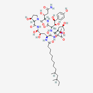 2D Structure