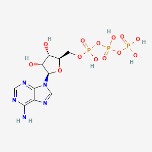 Adenosine Triphosphate