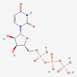 Uridine Triphosphate