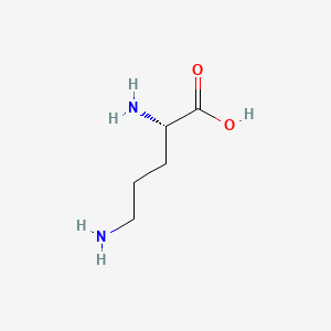 Ornithine