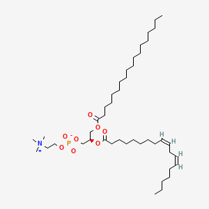 Phosphatidylcholine(18:0/18:2W6)