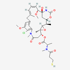 DM 1