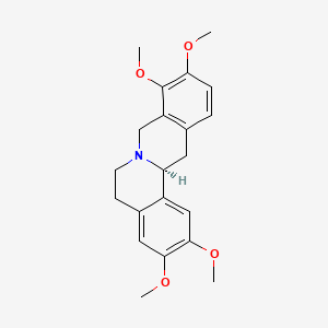 Rotundine