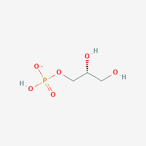 Phospholipid DPPC