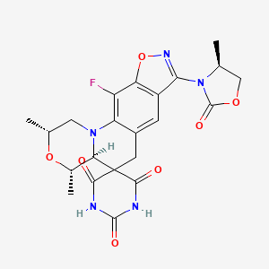 Zoliflodacin