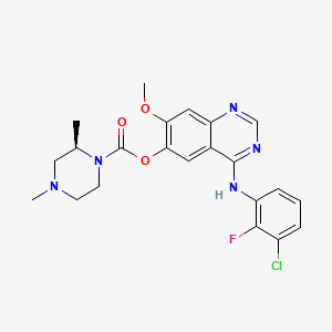 Zorifertinib